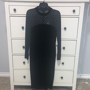 Eliza J Black Dress with Silver Detailing